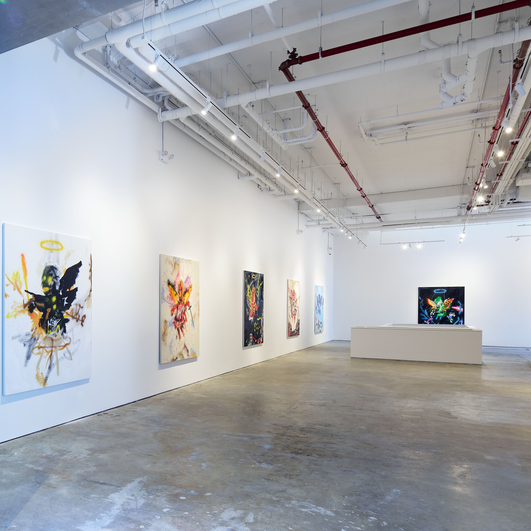 Robert Nava: With Flying Colors at Vito Schnabel