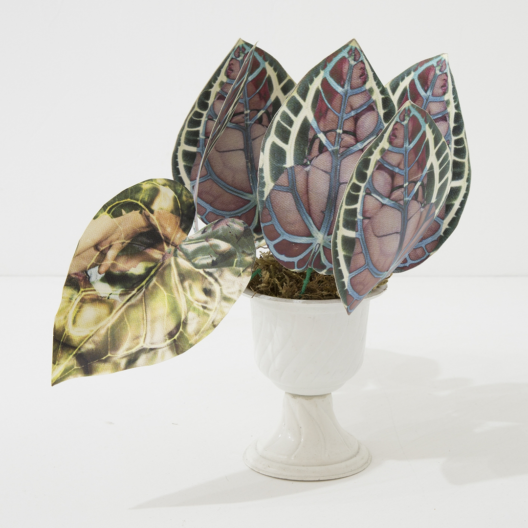 Openings: Kandis Williams