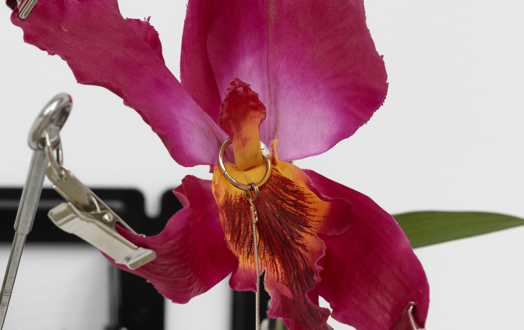 Detail of a plastic flower in Rachel Youn's "Slow Burn", 2026