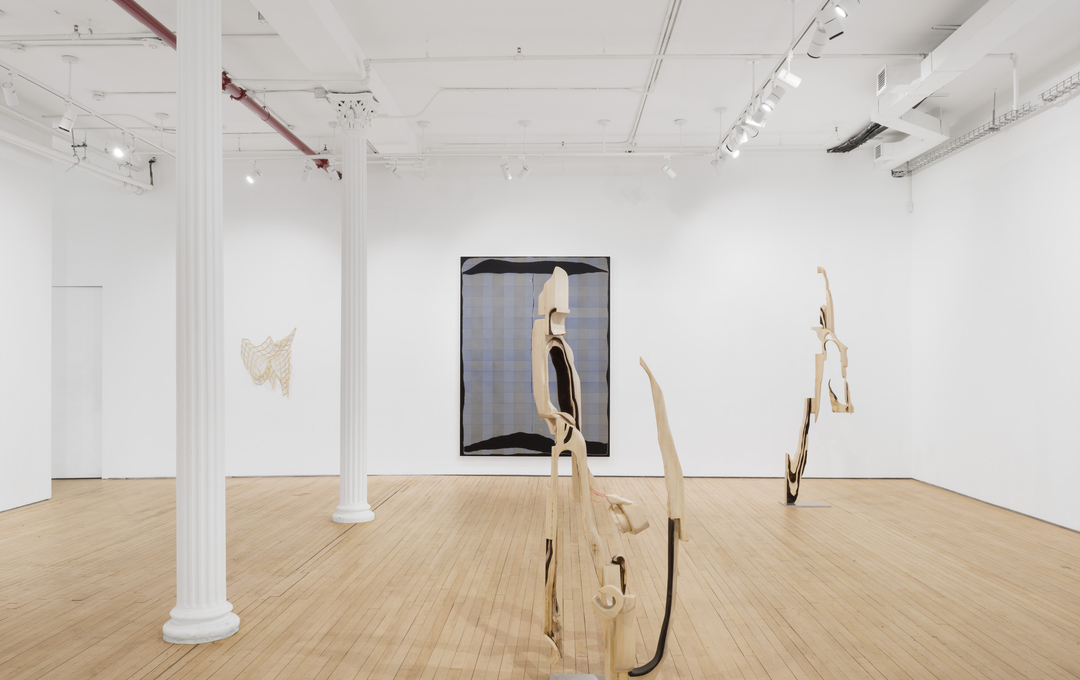 Installation view of "Braided River"