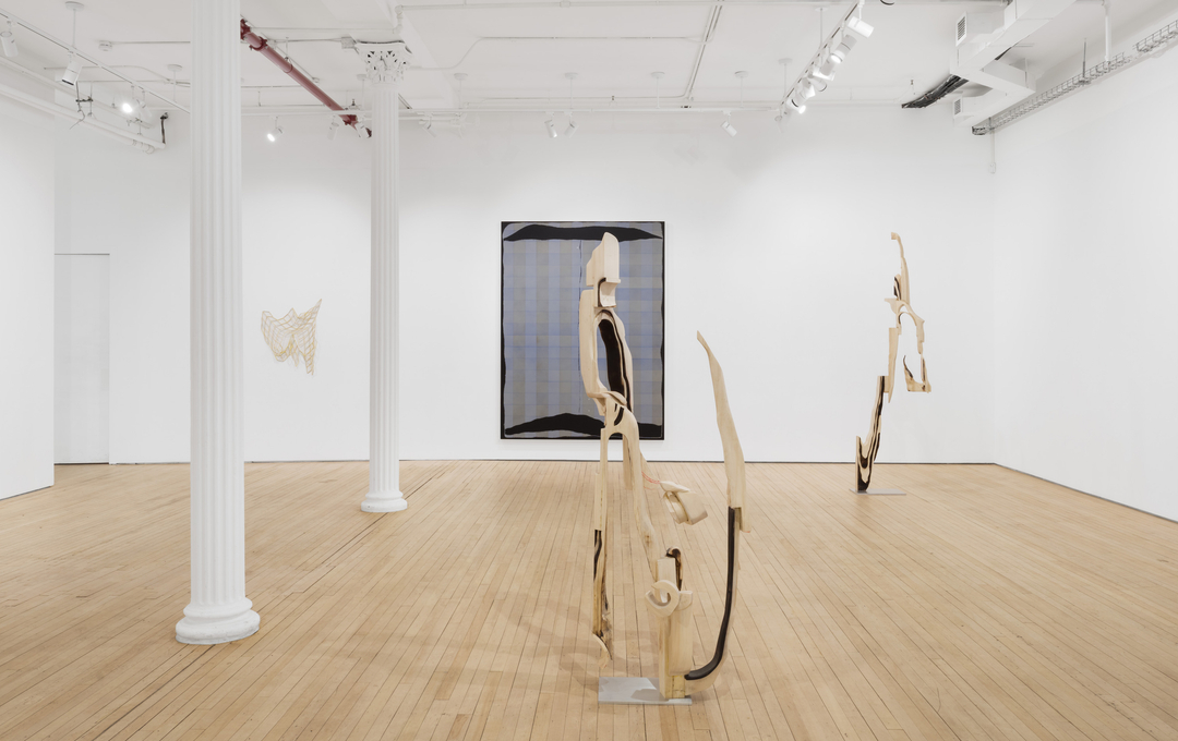 Installation view of "Braided River"