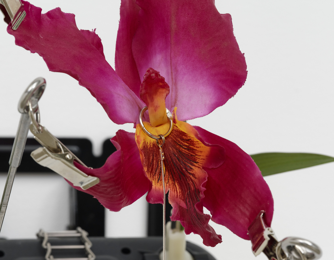 Detail of a faux flower in a sculpture by Rachel Youn