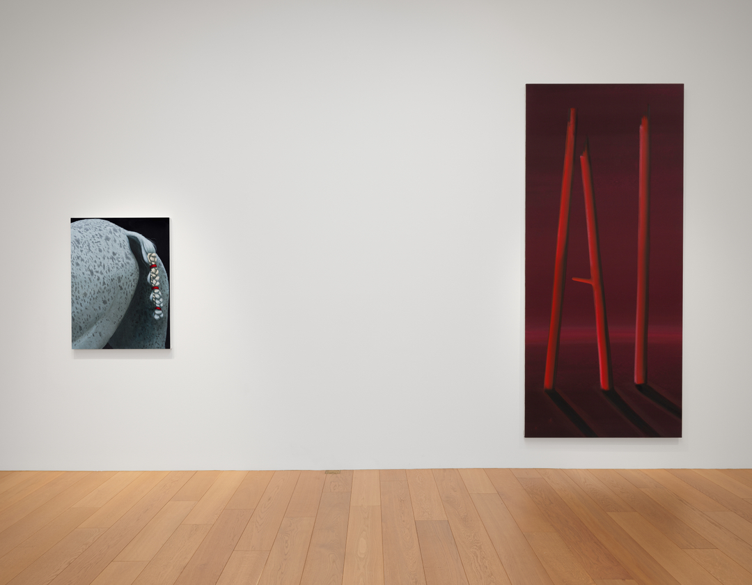 Installation view of "Blush"