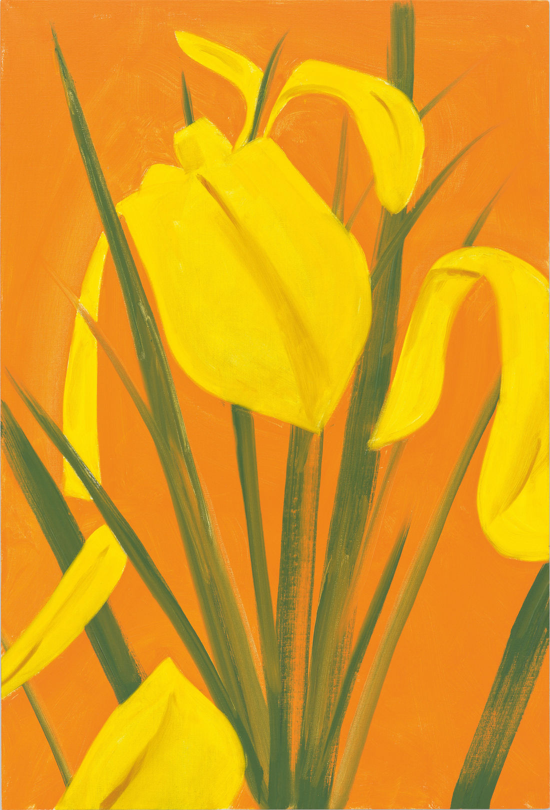 Alex Katz, Iris 4, 2019