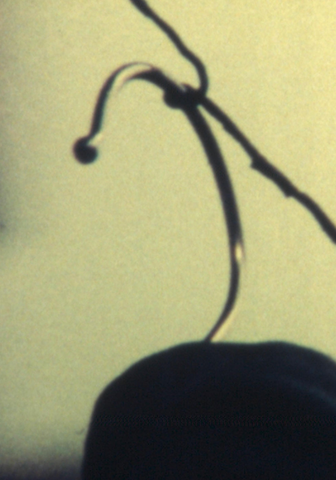 Amos Gitaï, After V (1974/2014); Thaddaeus Ropac