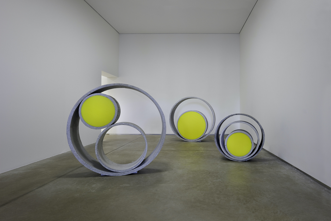 Installation view, Centro de Arte Contemporânea Inhotim, Brumadinho, Minas Gerais, Brazil, 2010, 2010