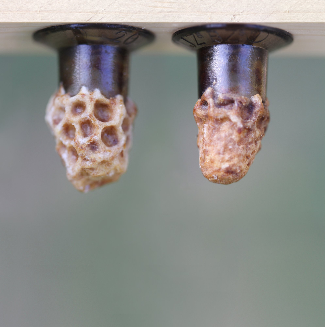 Paul Pfeiffer: The Drives