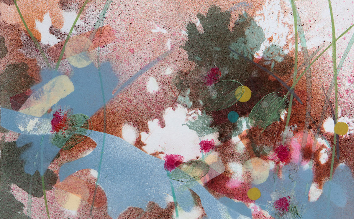 Macleaya and Callistemons I, 2024