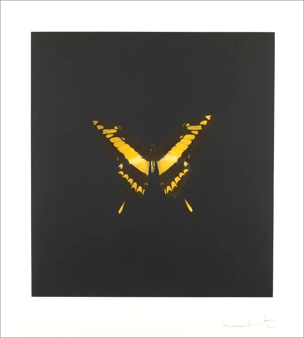 ダミアン・ハースト版画販売中｜サイン入りエディション｜Andipa Editions