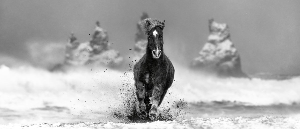 Exhibition of photographs by David Yarrow and Harry Skeggs