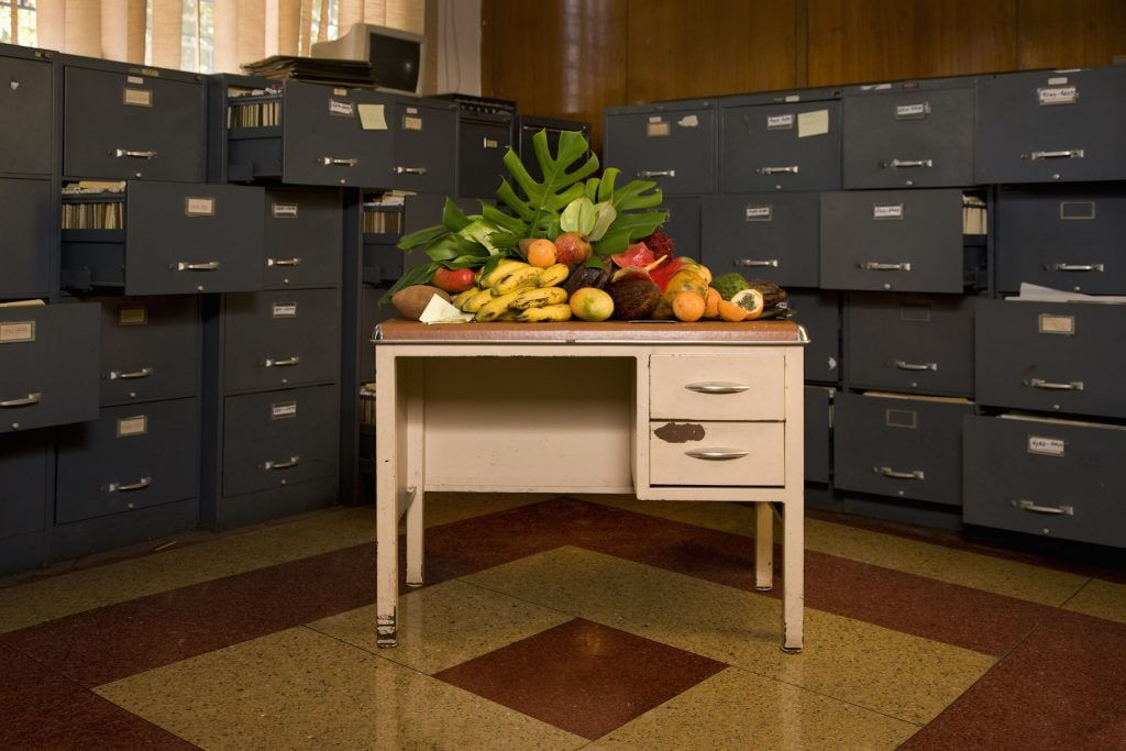 Naturaleza muerta, 2010