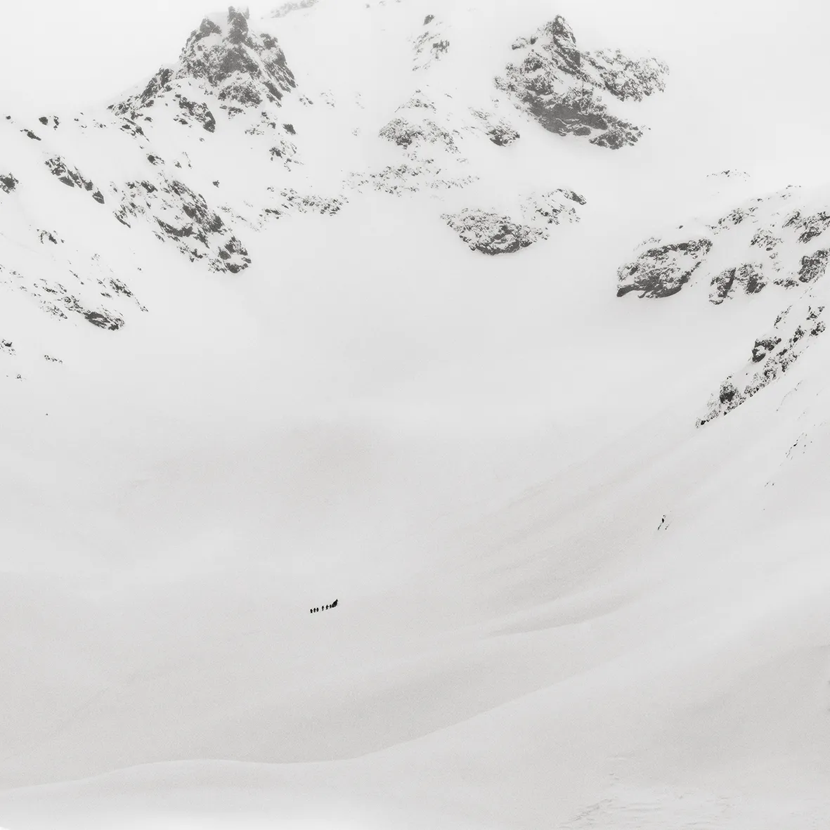 Jeffrey Conley - Works | Bildhalle