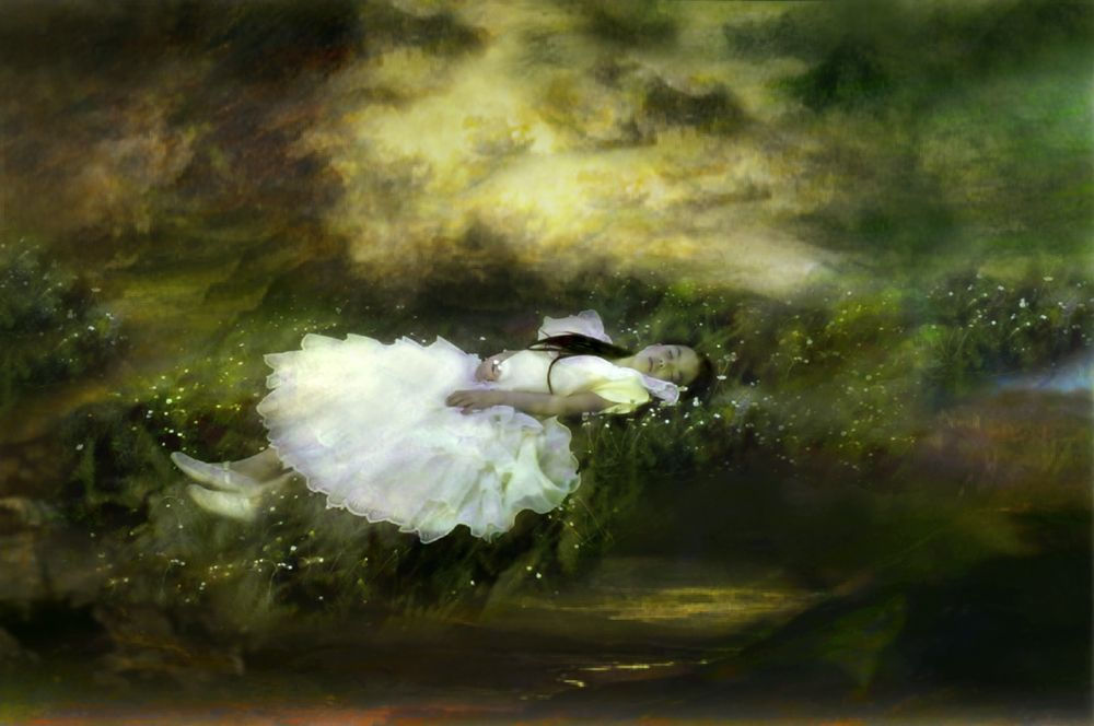 Annelies Strba | 28 Jan - 11 Mar 2011 | Frith Street Gallery