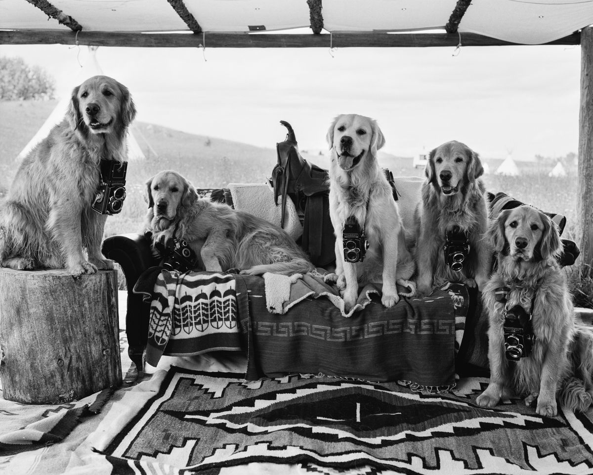 Works - Bruce Weber | Galeria Alta