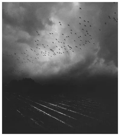 Pentti Sammallahti - Here Far away | Galerie Wouter van Leeuwen