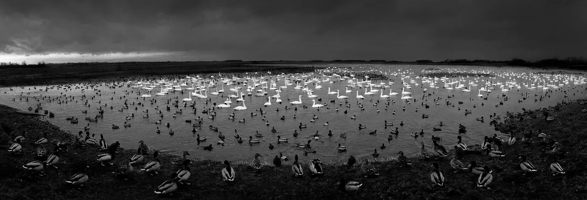 Pentti Sammallahti - Here Far away | Galerie Wouter van Leeuwen