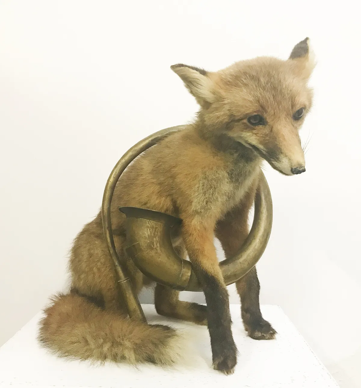 Reynard, Master of the Hunt