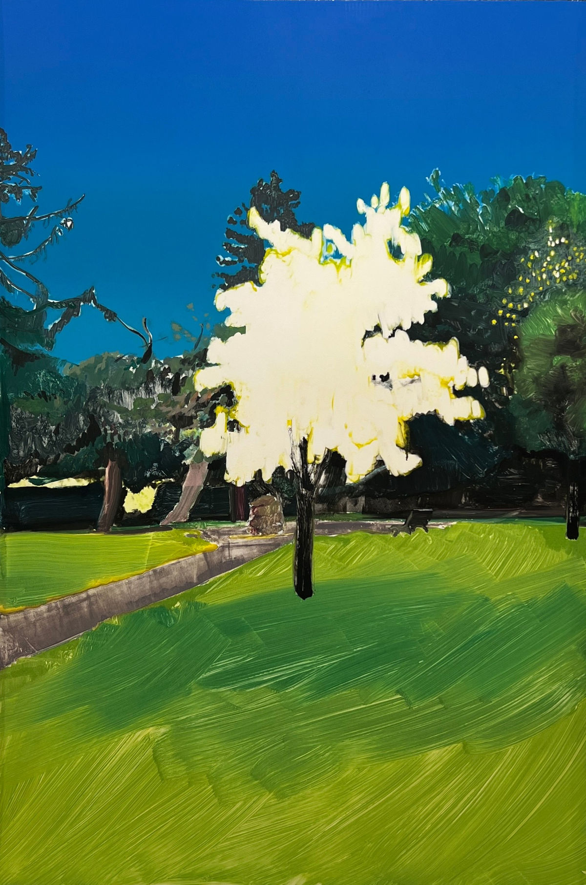 Alistair Gow: Mostly Trees