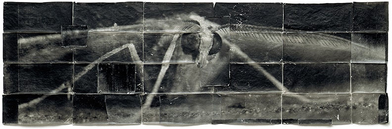 Doug and Mike Starn - Works | Hackelbury Fine Art