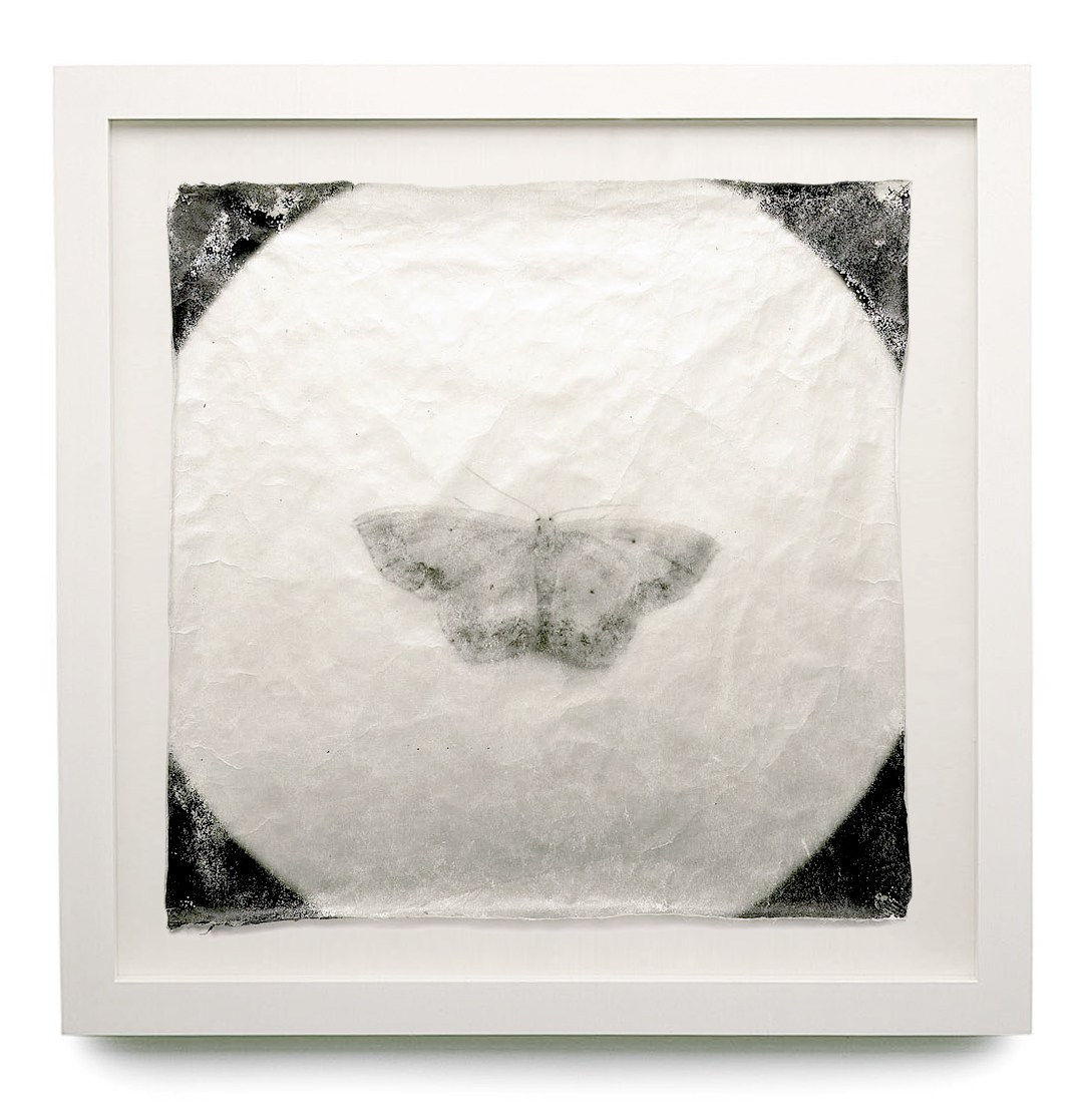 Doug and Mike Starn - Works | Hackelbury Fine Art