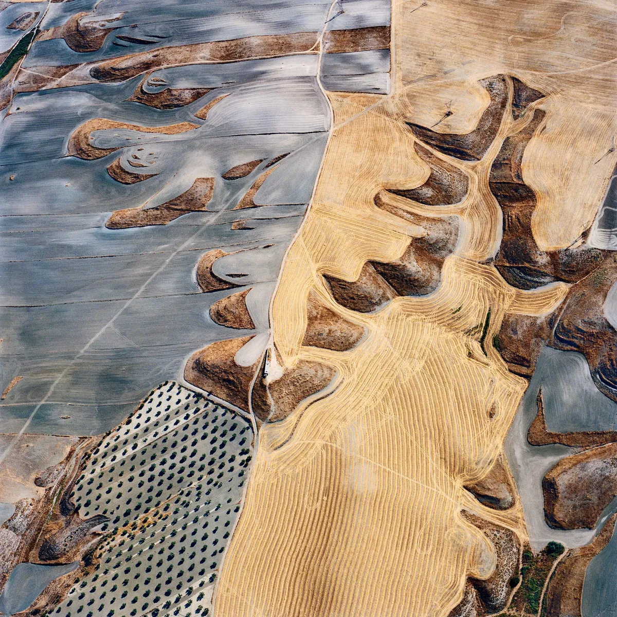 David Maisel | Edwynn Houk Gallery