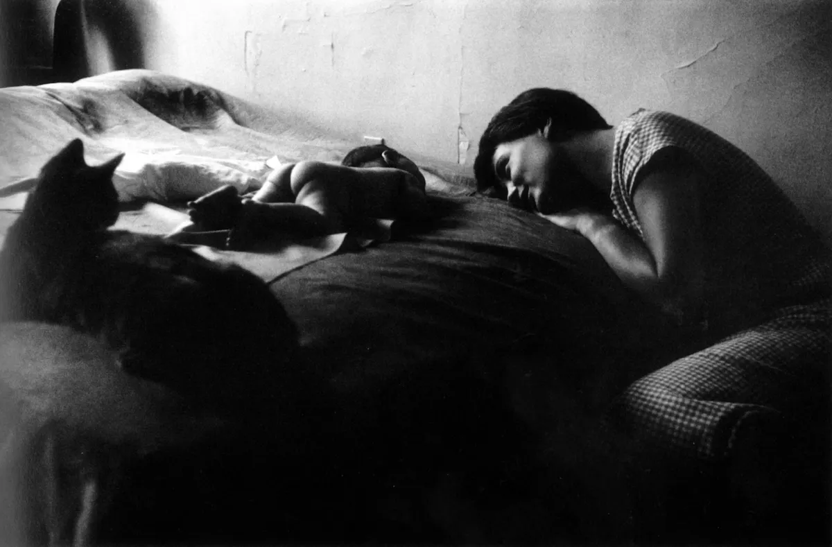 Elliott Erwitt, Home Around the World for the Holidays