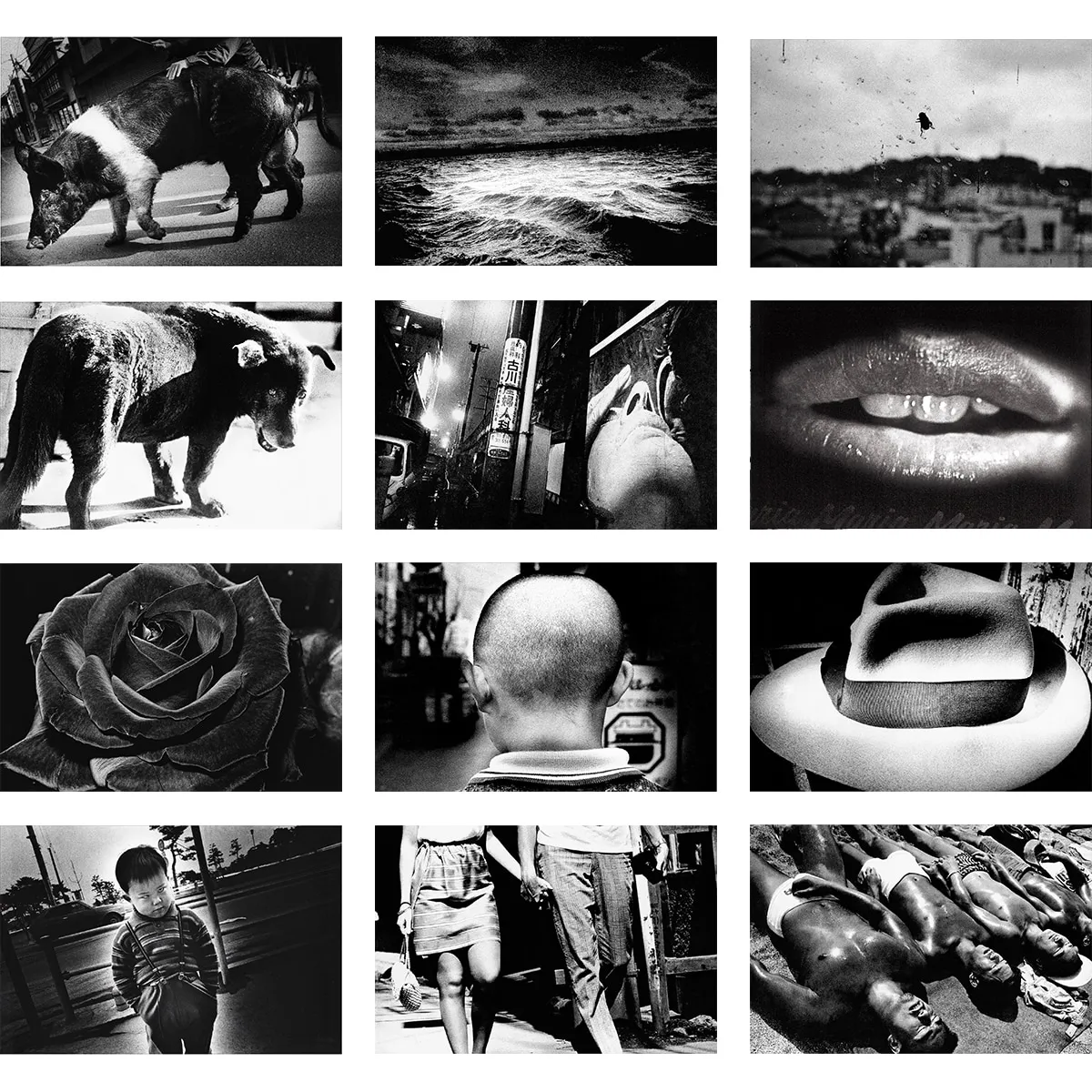 Daido Moriyama, Classic Daido, 2023 | The Lapis Press