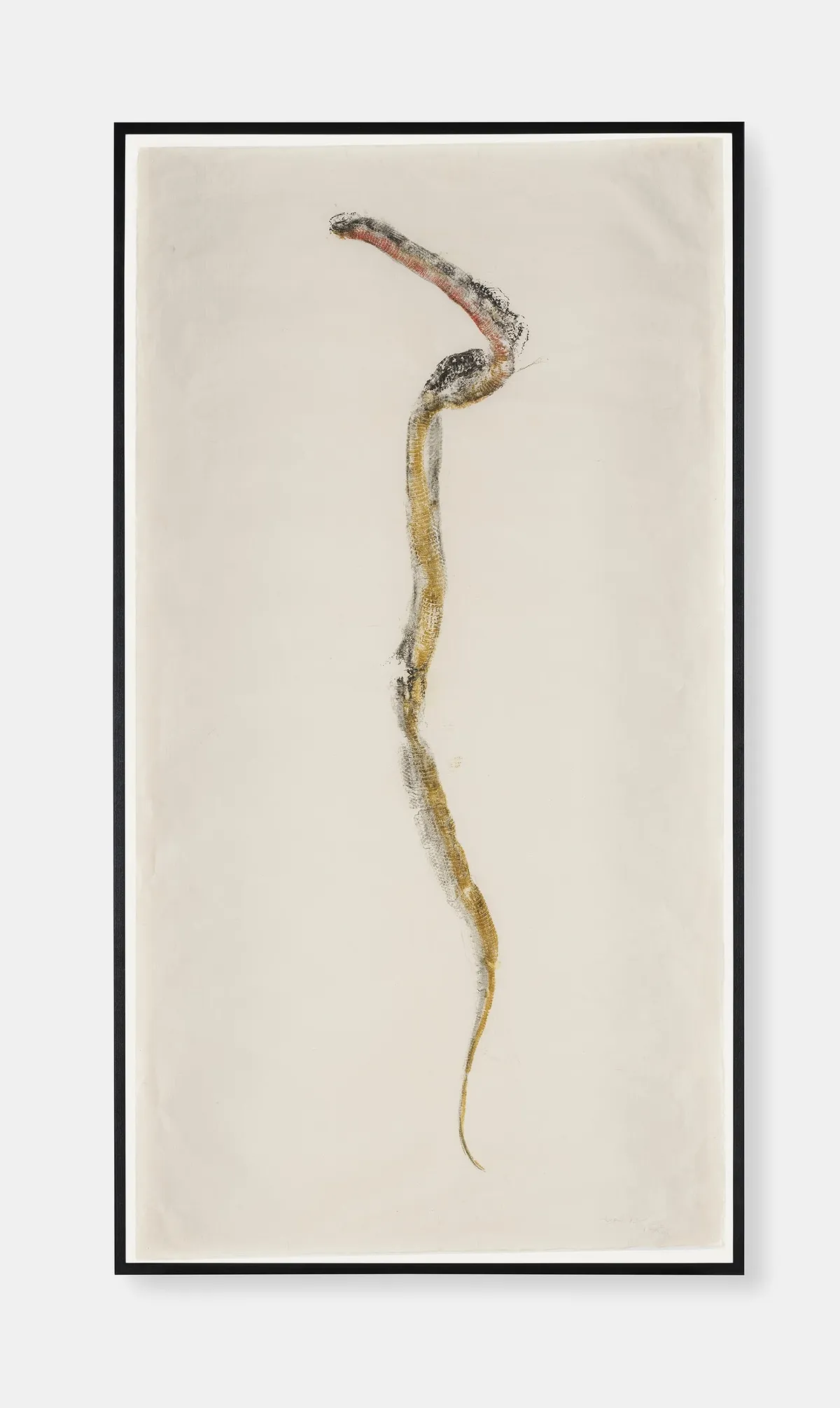Simryn GILL, Naga Doodles 34 (Radiated Ratsnake), 2017