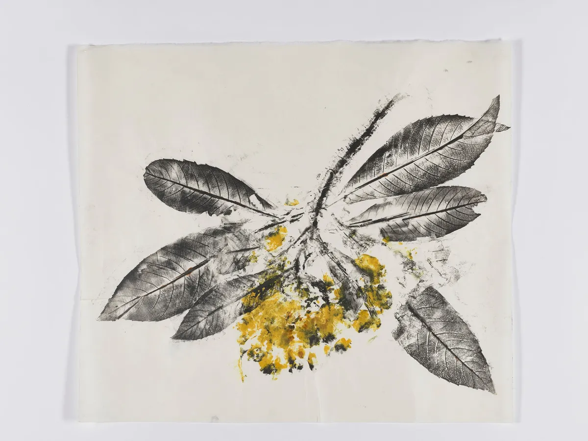Simryn GILL, Maria's Garden Studies (loquat-small), 2020/2021