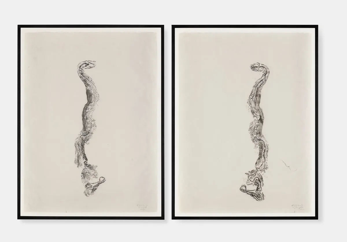 Simryn GILL, Naga Doodles, 2017