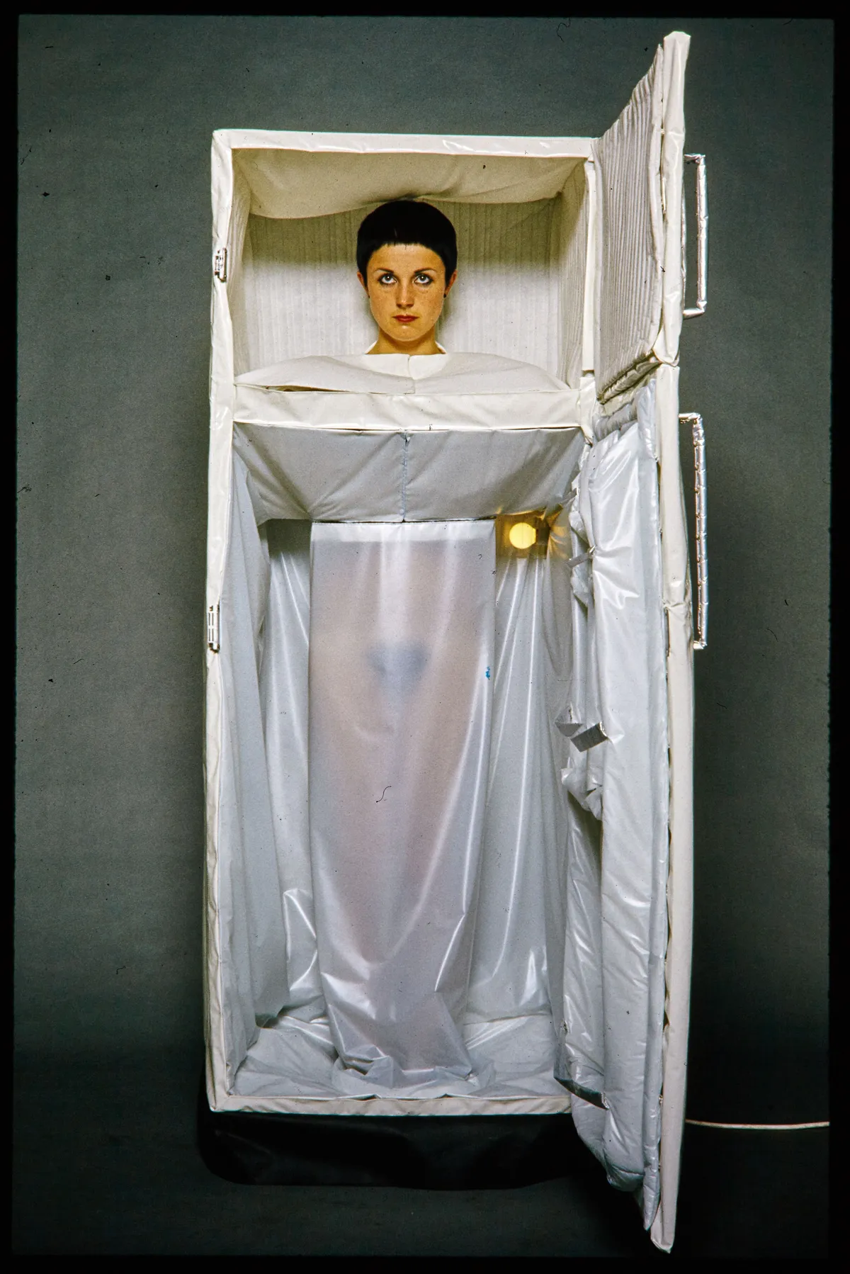 Helen CHADWICK, In the Kitchen (Fridge), 1977