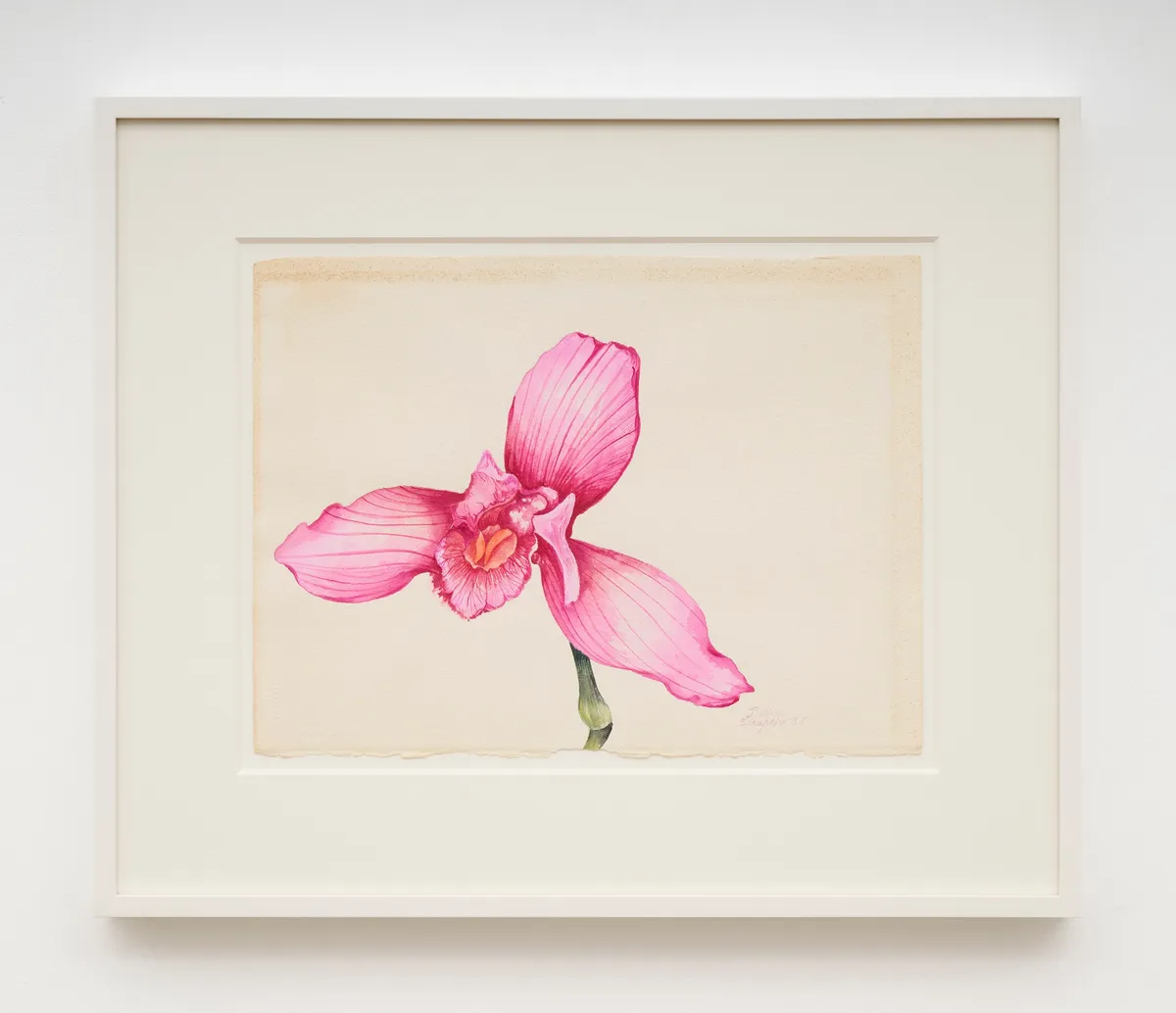 Juliana SERAPHIM, Untitled, 1988