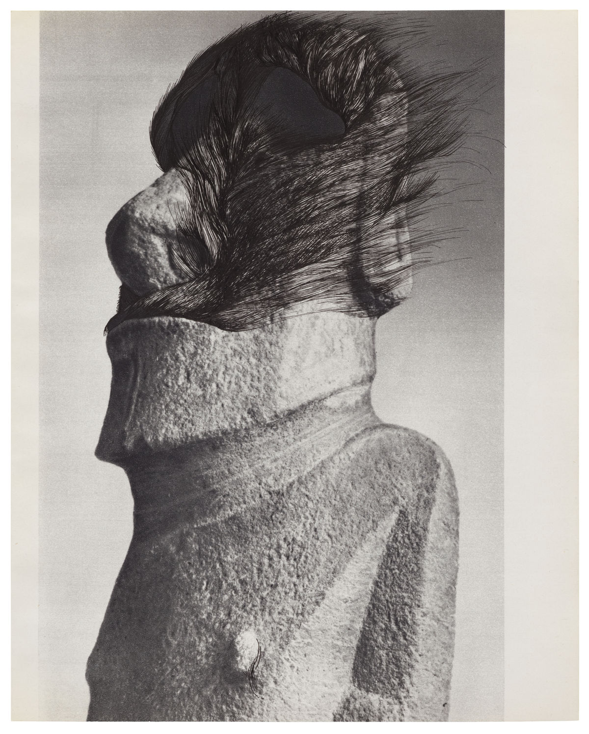 Ann-Marie JAMES MUSÉE IMAGINAIRE, Plate 440 (back), 2013 Ink on bookplate 22.3 x 17.7 cm sheet