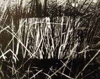 Tony MORGAN, Munich Grass, 1969