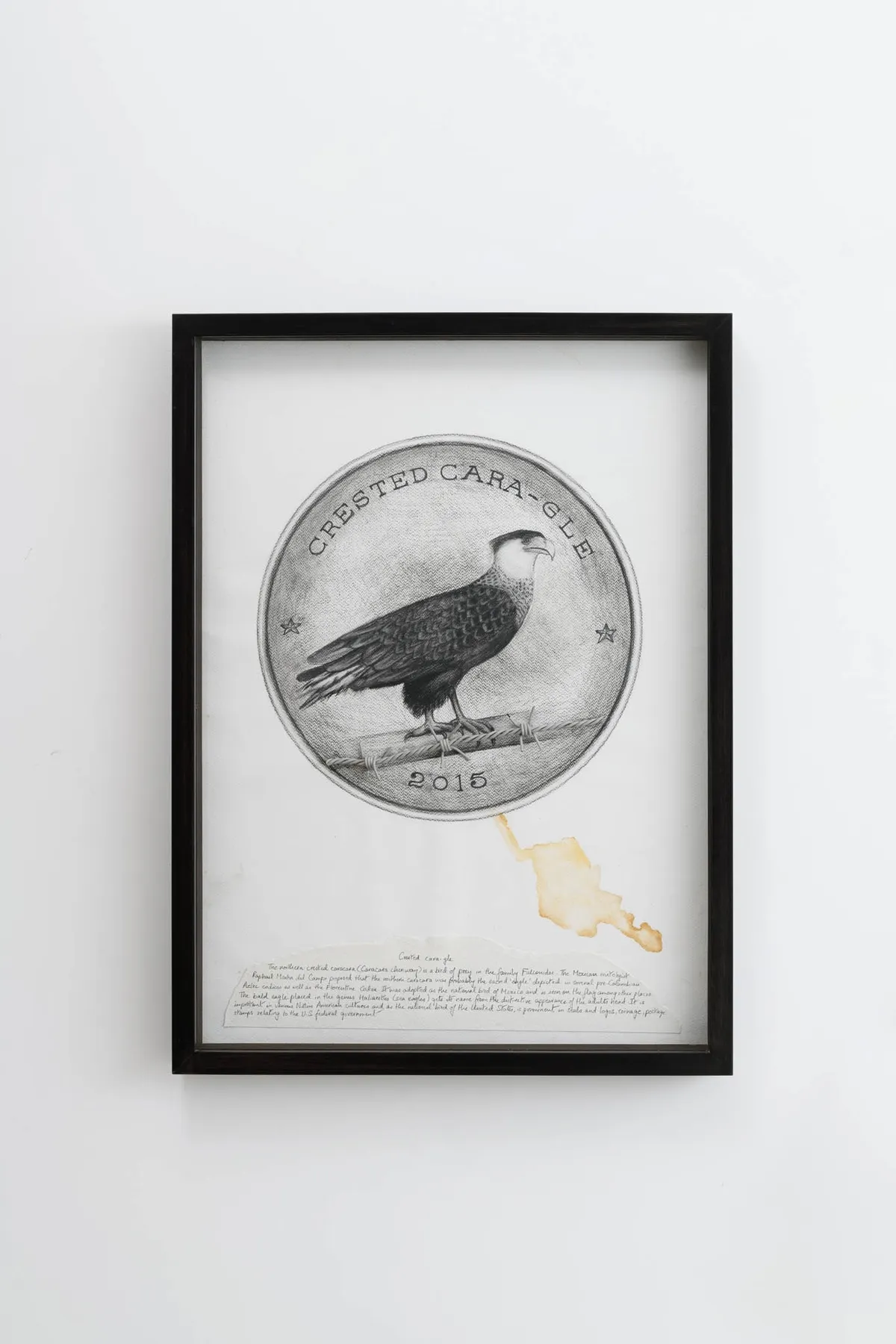 Reena Saini KALLAT, Hyphenated lives (Crested cara-gle), 2015