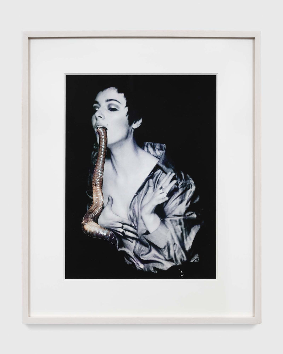 Penny SLINGER The Larval Worm, 1969/2014 C-print from original collage Unframed: 40.6 x 30.2 cm Framed: 57.2 x 46.4 x 3.2 cm Edition 2 of 3 + 2AP's