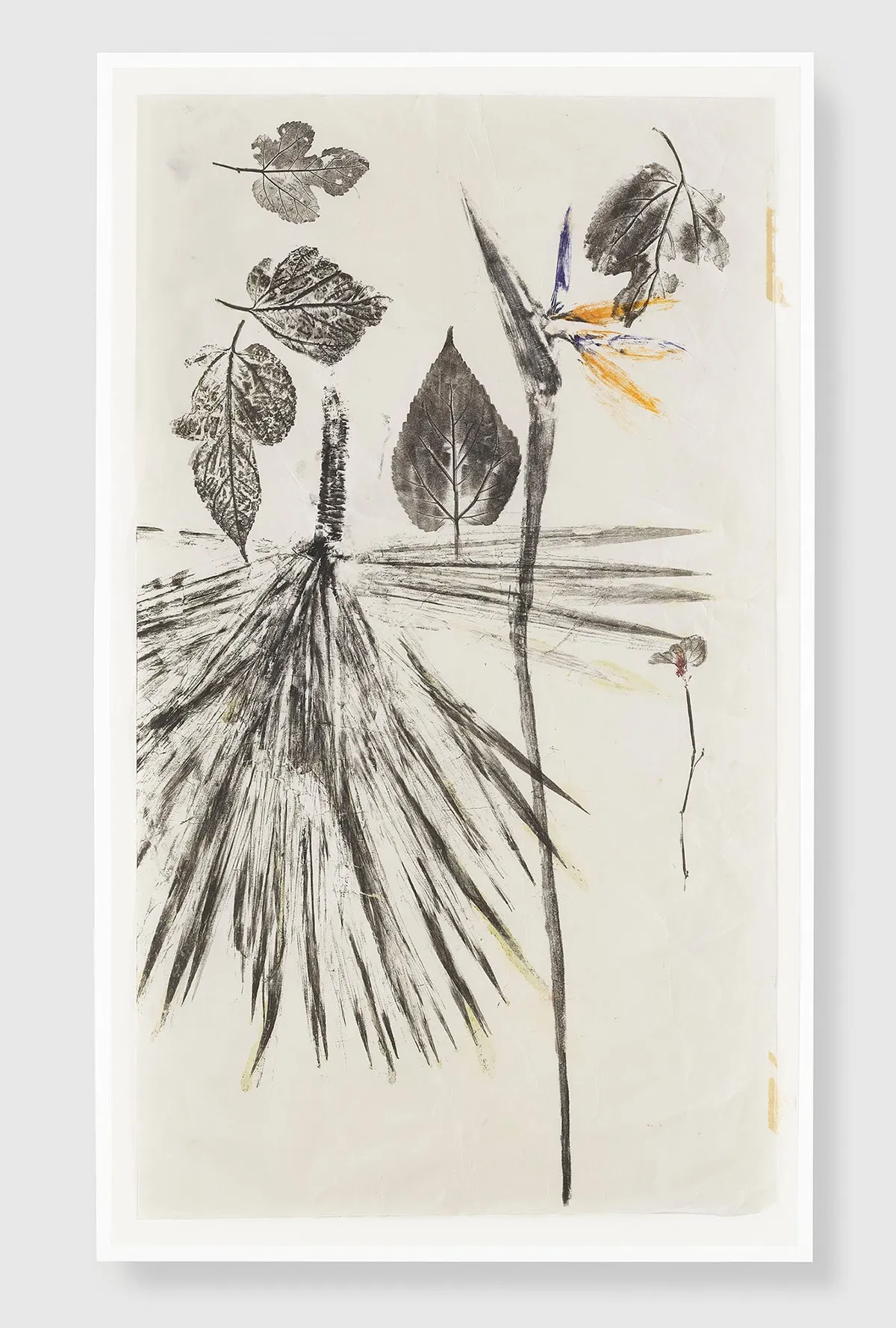 Simryn GILL, Maria's Garden Studies, 2020/2021