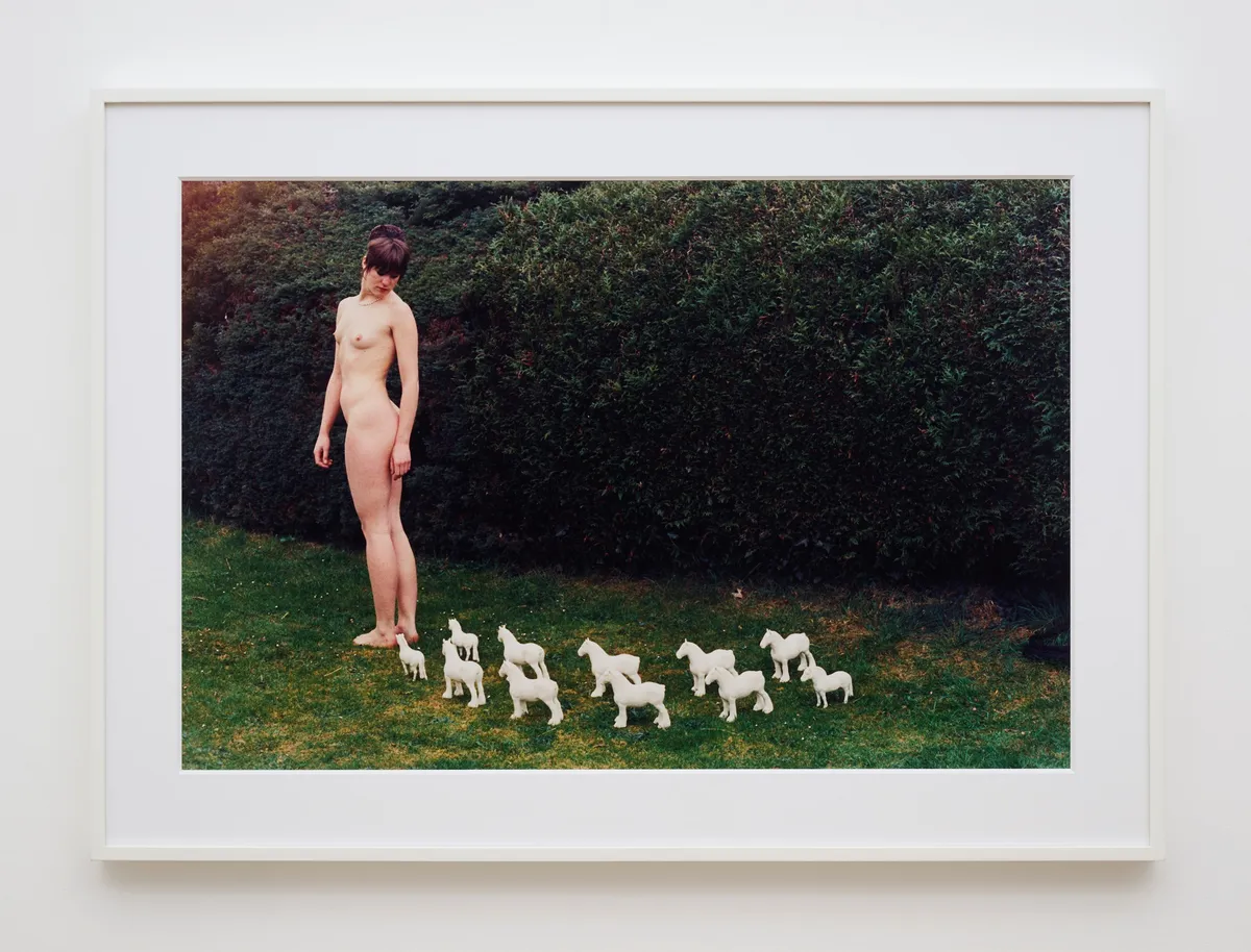 Rose ENGLISH, Untitled - Rose and Porcelain Horses, 1974/2012