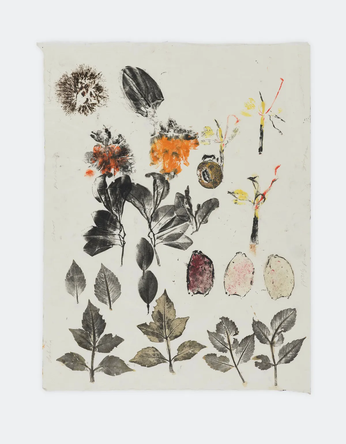 Simryn GILL, Maria's Garden Study 22, 2020/2021