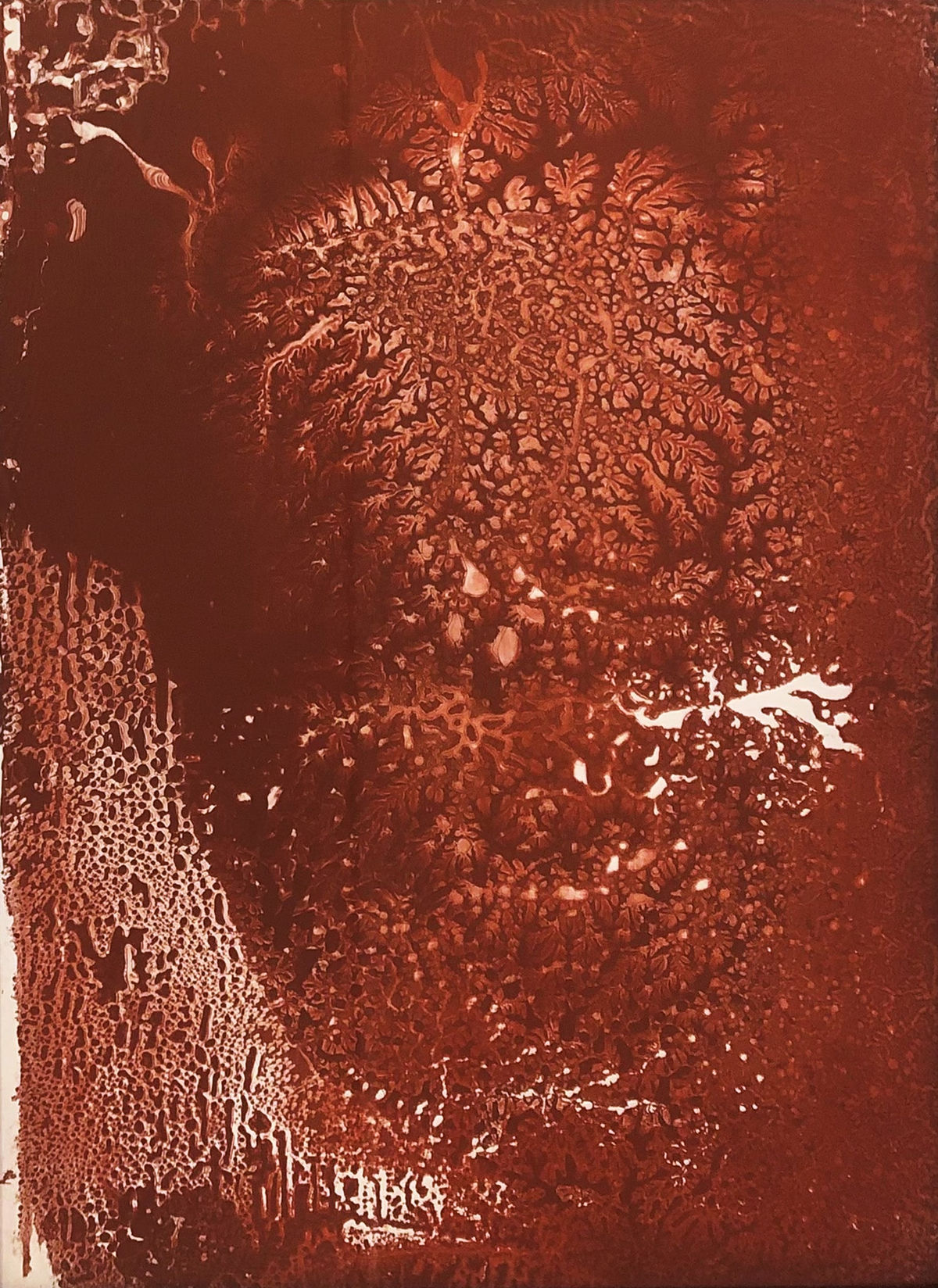 Thinking like the Earth - the mind of nature III