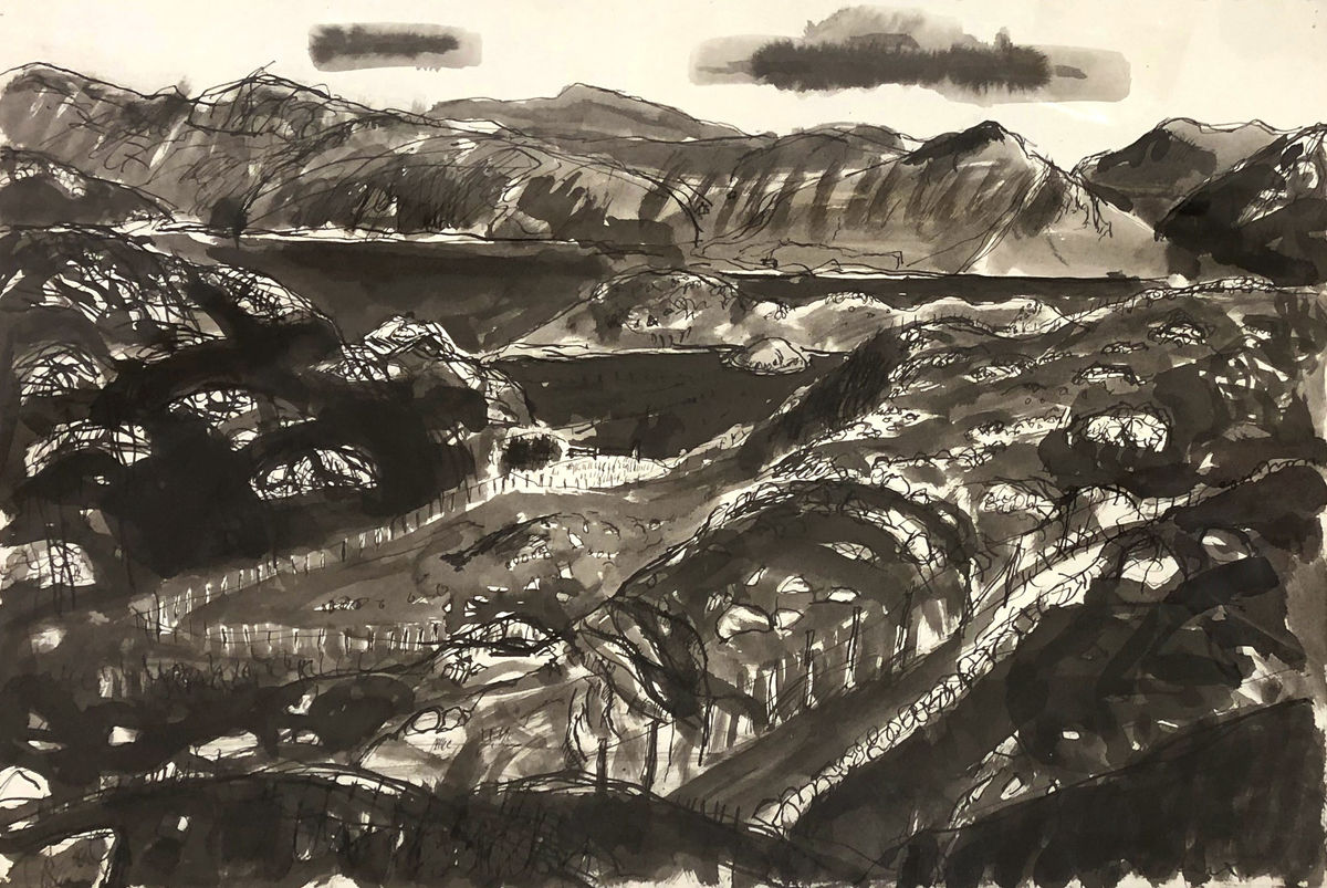 Lewis: small farm looking towards Cairisadar