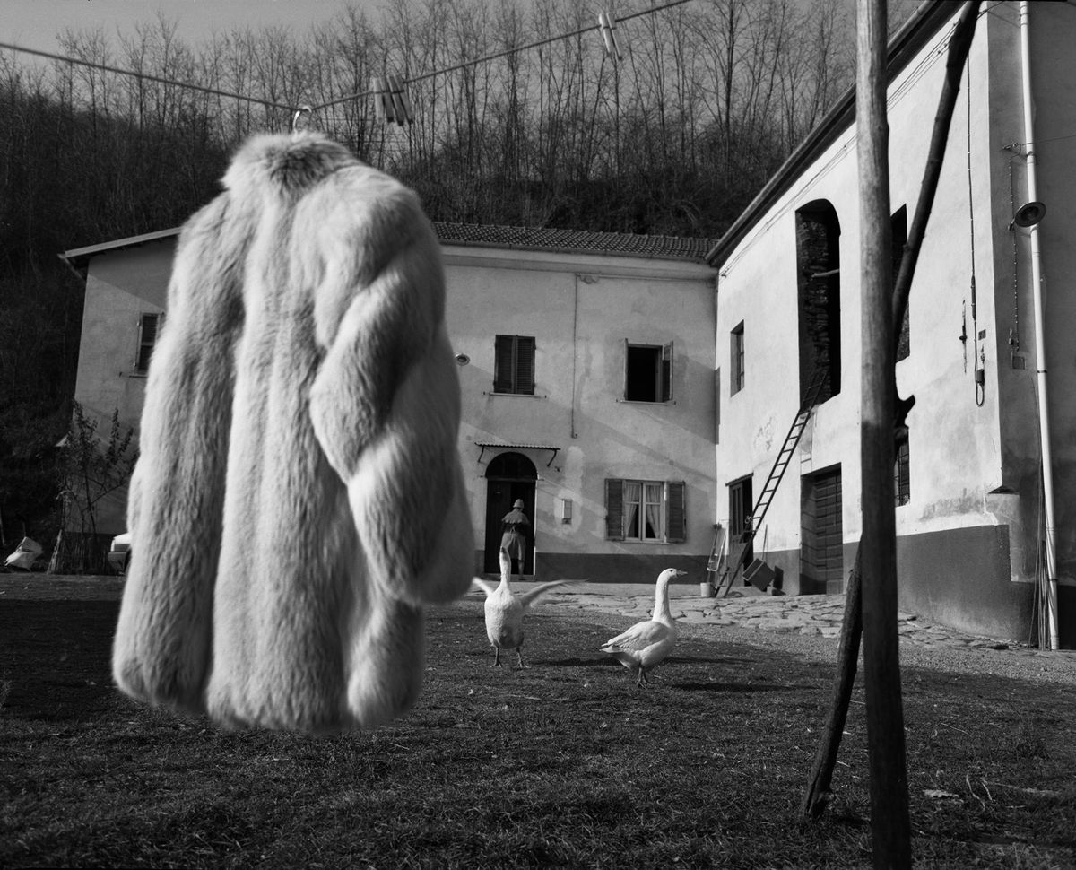 The Fur Coat, 1994