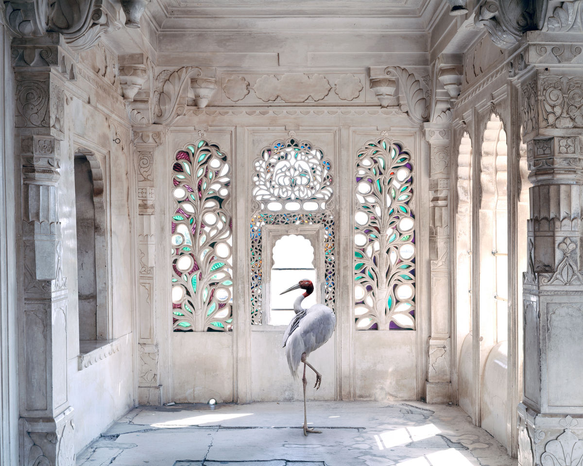 Karen Knorr, A Place Like Amravati 2, Udaipur Palace, Udaipur, 2011 from the series India Song, 2011