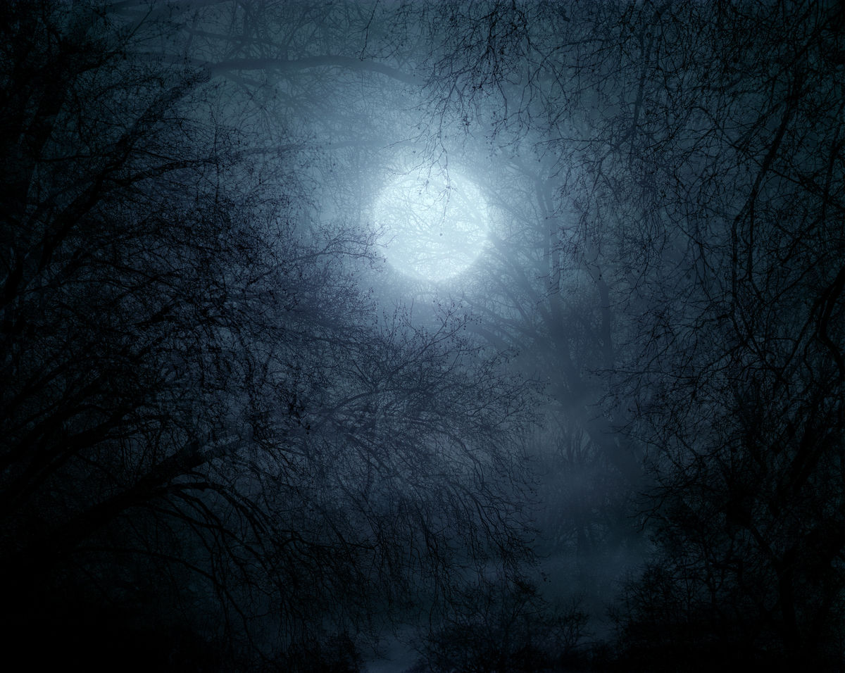 Slow Moon Rising, 2023