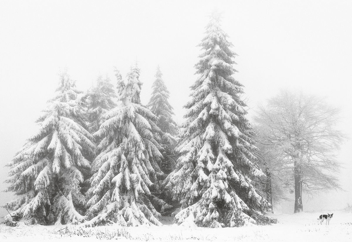 Petrohan, Bulgaria, 2003