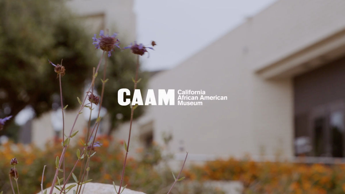 Chloë Bass on #sky #nofilter: Hindsight for a Future America