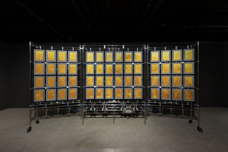 “Sensing the Here and Now”... BEAK Jungki’s is of Exhibition Focuses on the Theme of ‘Disappearance’