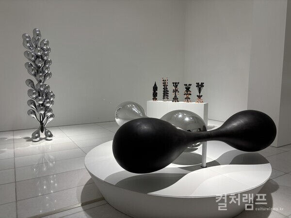 Yonhap News: Lost in Garden