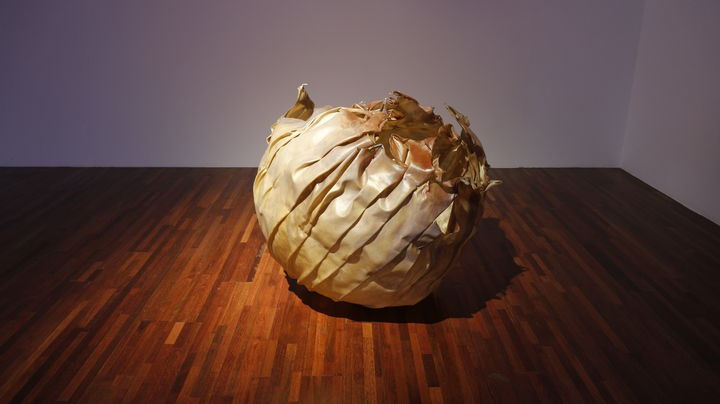 Yohan HÀN, Métissage