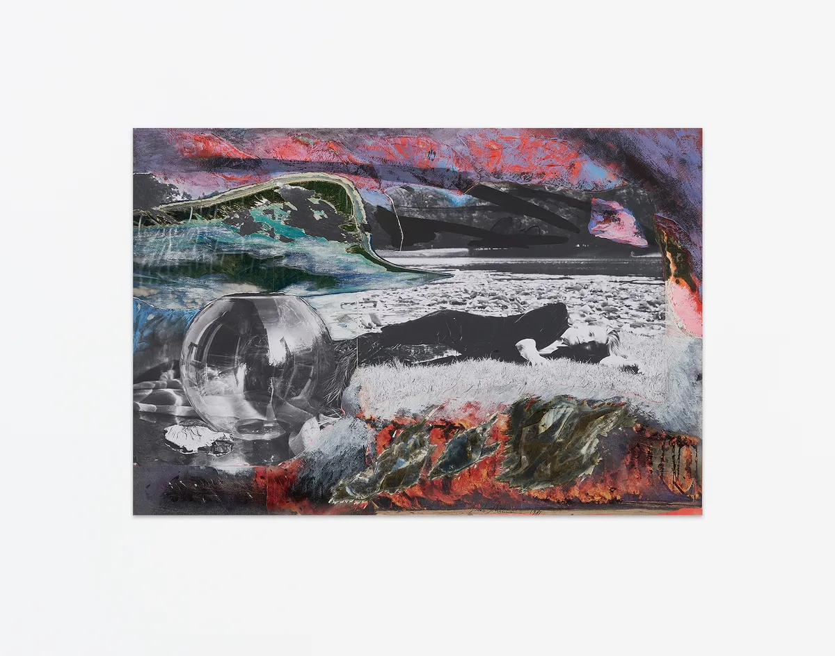 Sarah Schumann: Shock and Beauty | 2025年1月14日 - 2月8日 | Diane